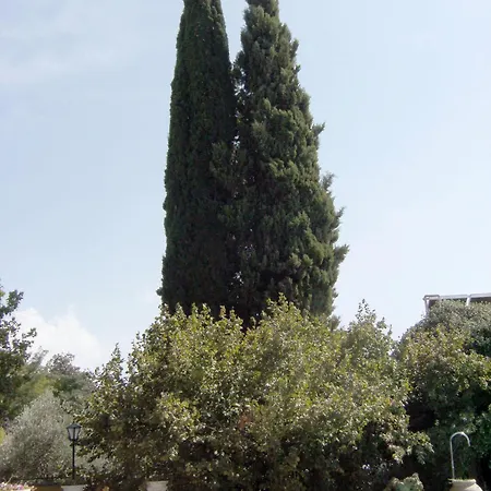 Reina Isabel Campsite La Zubia (Granada)